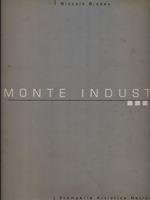 Piemonte industria