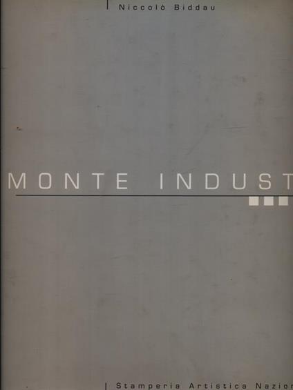 Piemonte industria - Niccolo' Biddau - copertina