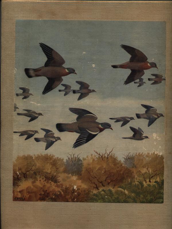 LIBRACCIO VINTAGE