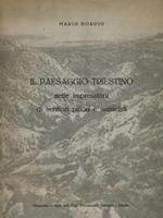 il paesaggio triestino 