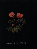 Flora del Carso