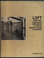 Loft fabbriche capannoni sottotetti in disuso adattati a studi e residenze
