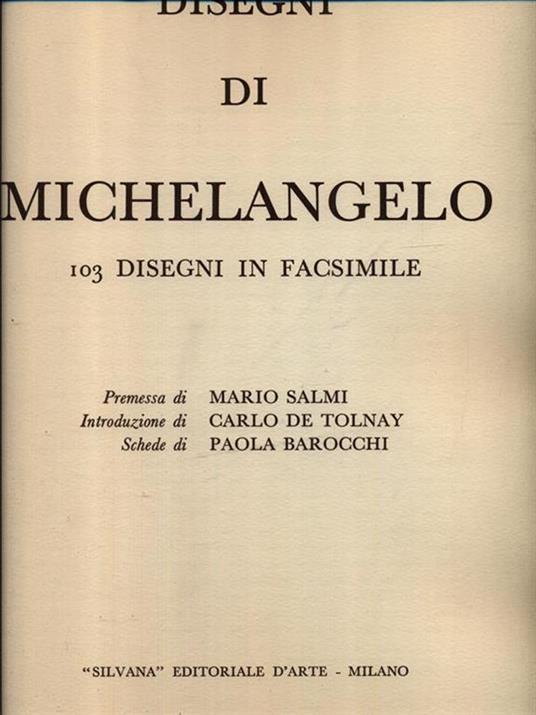 Disegni di Michelangelo - copertina