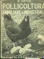   Pollicoltura familiare e industriale
