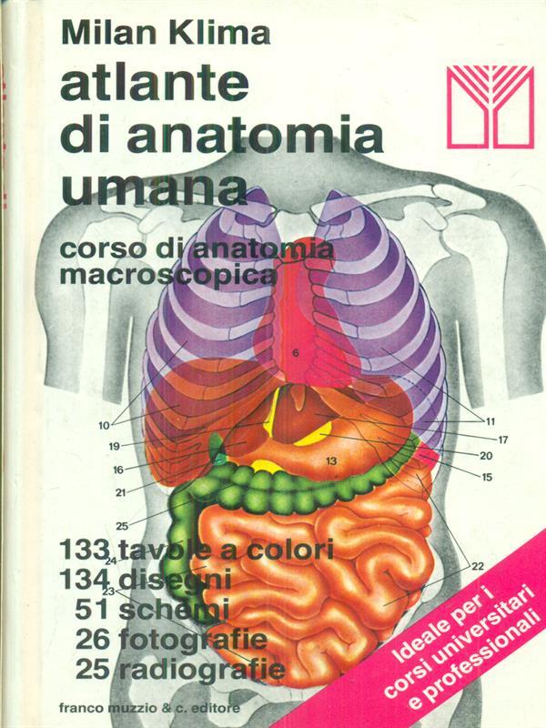 LIBRACCIO VINTAGE