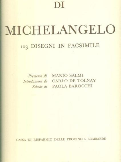 Disegni di Michelangelo - copertina