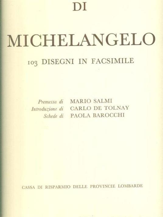Disegni di Michelangelo - copertina