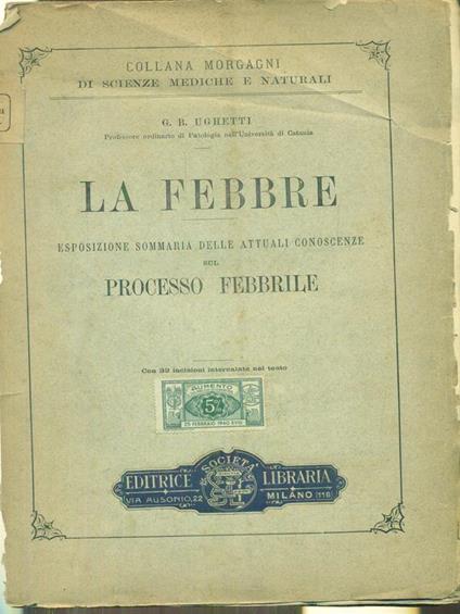 La febbre - Giovan Battista Ughetti - copertina