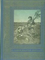 Pianure friulane