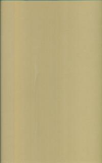 Raffaello. Il cartone per la Scuola di Atene