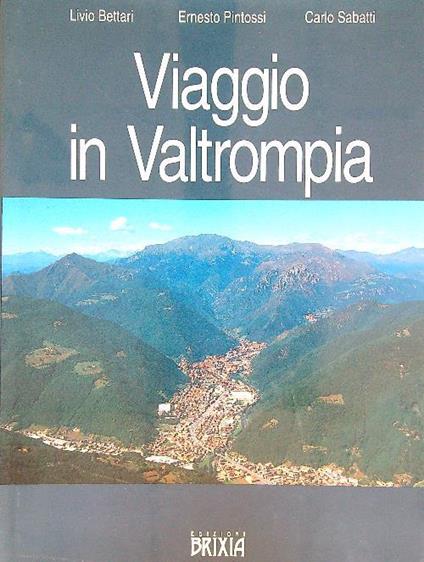 Viaggio in Valtrompia - copertina
