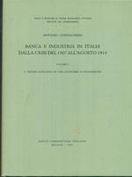 Banca e industria in Italia dalla crisi del 1907 all'agosto 1914 vol. I