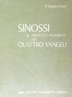 Sinossi didattico pastorale dei quattro vangeli