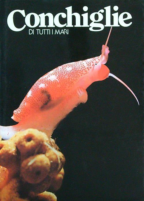 LIBRACCIO VINTAGE
