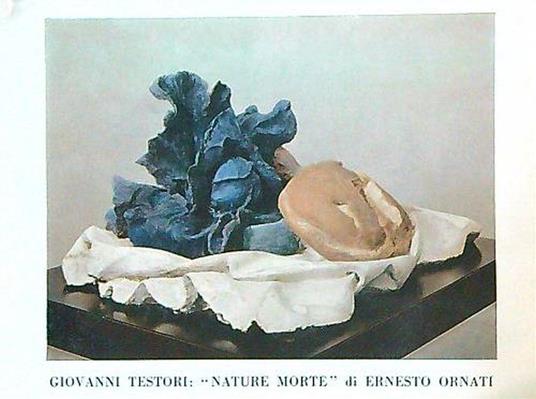 Nature Morte di Ernesto Ornati - Giovanni Testori - copertina