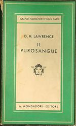 purosangue