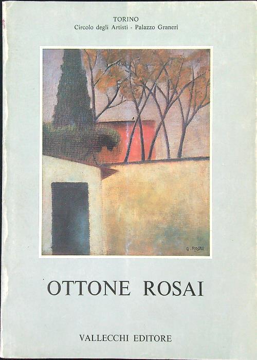 Ottone Rosai - P. Carlo Santini - copertina