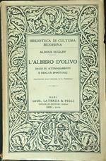 albero d'olivo