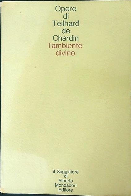L' ambiente divino - copertina