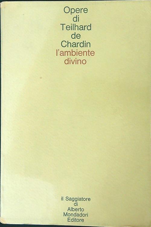 L' ambiente divino - copertina