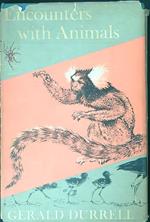 Encounters with animals