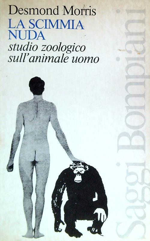 LIBRACCIO VINTAGE