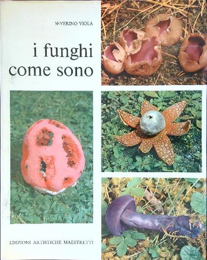 I funghi come sono - Severino Viola - copertina
