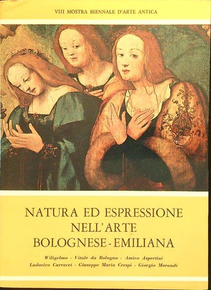 Natura ed espressione nell'arte Bolognese-Emiliana - copertina