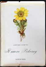 Il nuovo Pokorny. La botanica illustrata
