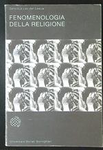 Fenomenologia della ragione