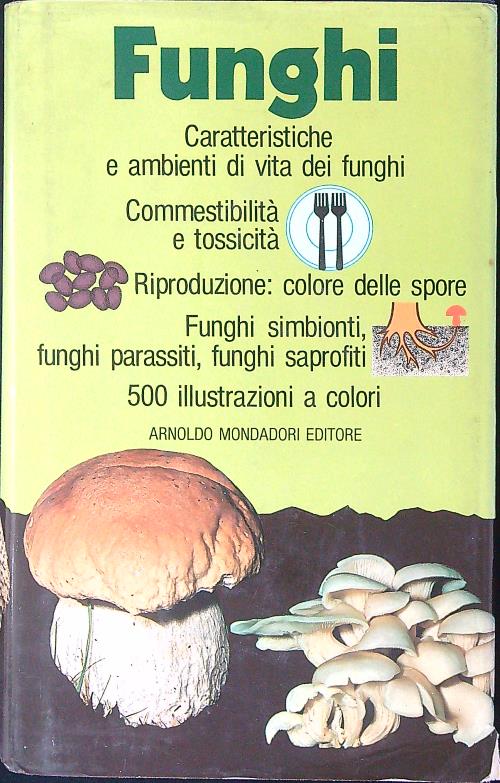 LIBRACCIO VINTAGE