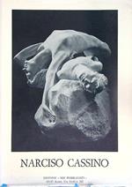 Narciso Cassino