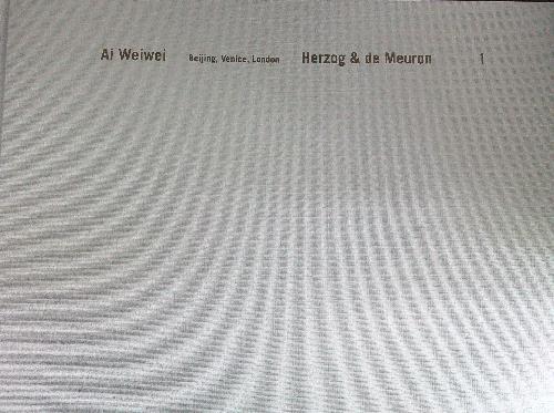 Ai Weiwei Herzog & de Meuron 2 vv - copertina