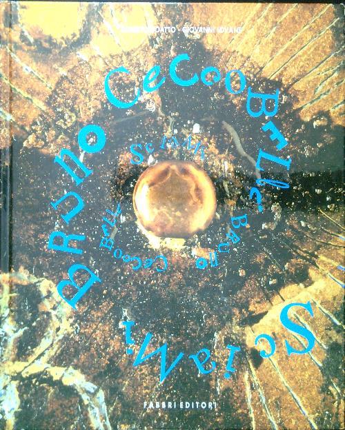 Sciami Bruno Ceccobelli - Alberto Boatto - copertina