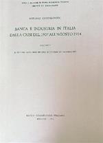 Banca e industria in Italia dalla crisi del 1907 all'agosto 1914. Vol 1