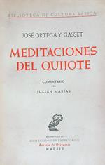 Meditaciones del Quijote