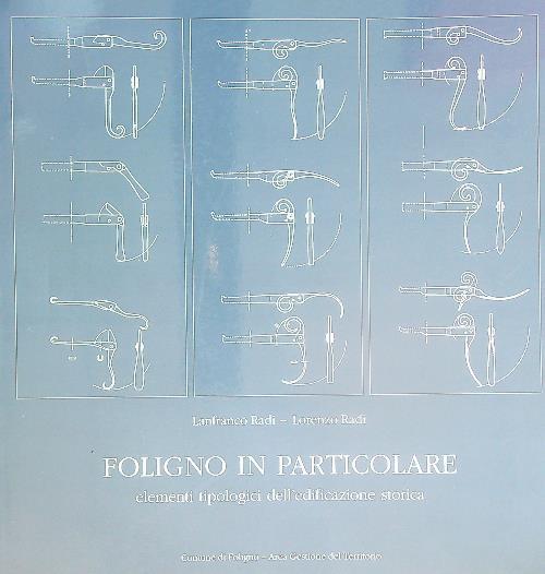 Foligno in particolare. Elementi tipologici dell'edificazione storica - Lanfranco Radi - copertina