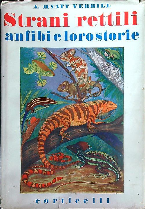 LIBRACCIO VINTAGE