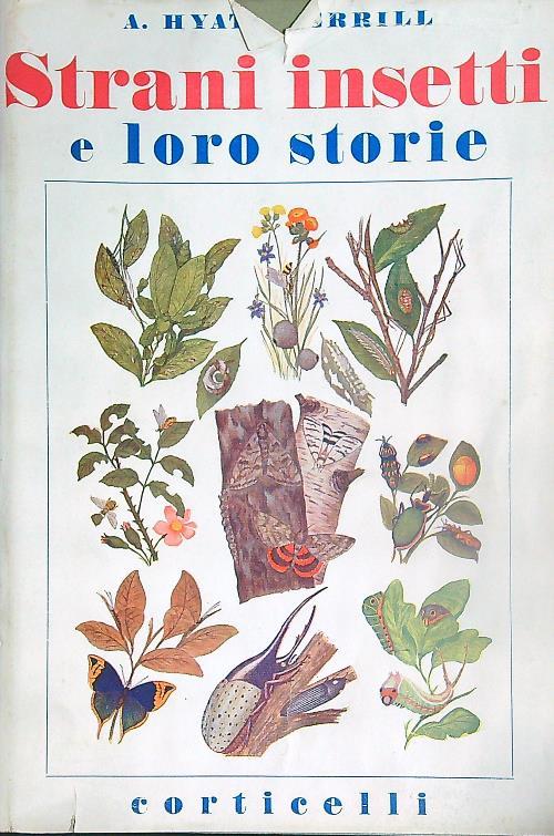 LIBRACCIO VINTAGE
