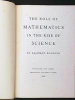 The role of mathematics in the rise of science