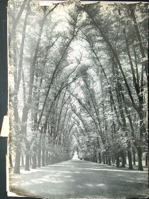 Deutsche Garten - Beyer - copertina