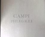Campi Phlegraei. Osservazioni sui vulcani delle due Sicilie. Con illustrazioni di Pietro Fabris