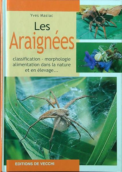 Les araignees - Y. Masiac - copertina