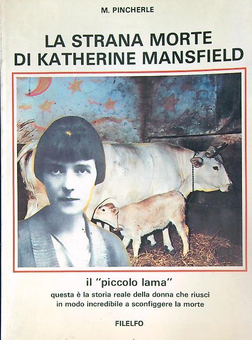 LIBRACCIO VINTAGE