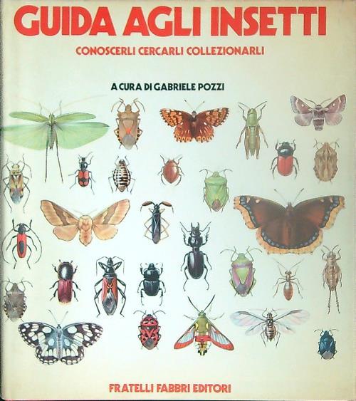 LIBRACCIO VINTAGE