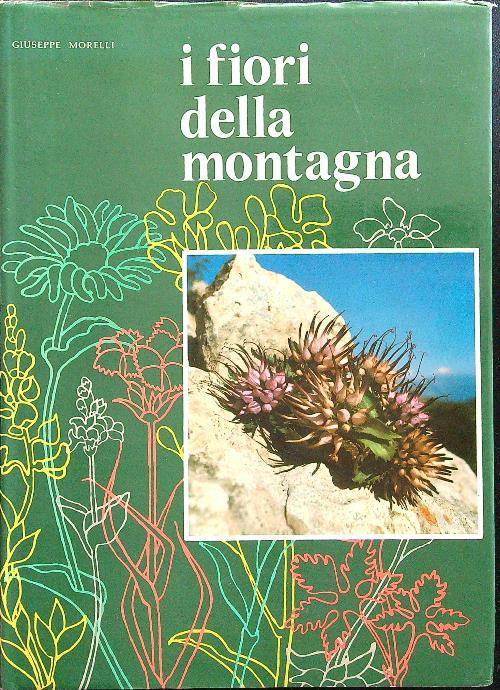 LIBRACCIO VINTAGE