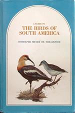 The birds of South America