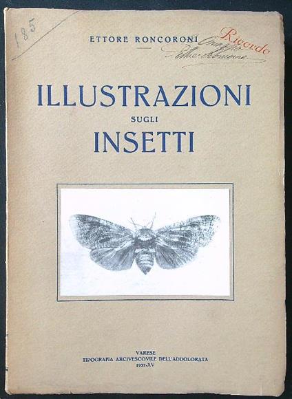 Illustrazioni sugli insetti - Ettore Roncoroni - copertina