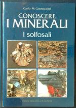 Conoscere i minerali: i solfosali