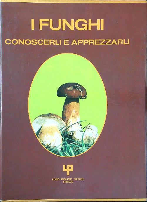 LIBRACCIO VINTAGE